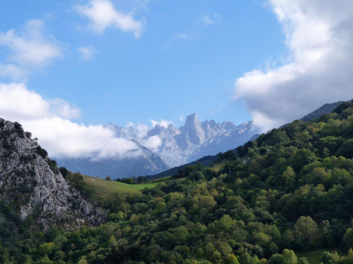 Cabrales Sol Leilighet Carrena de Cabrales Eksteriør bilde