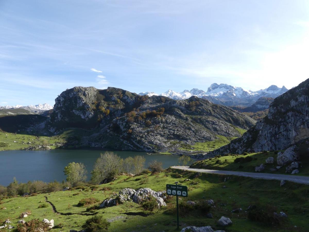 Cabrales Sol Leilighet Carrena de Cabrales Eksteriør bilde