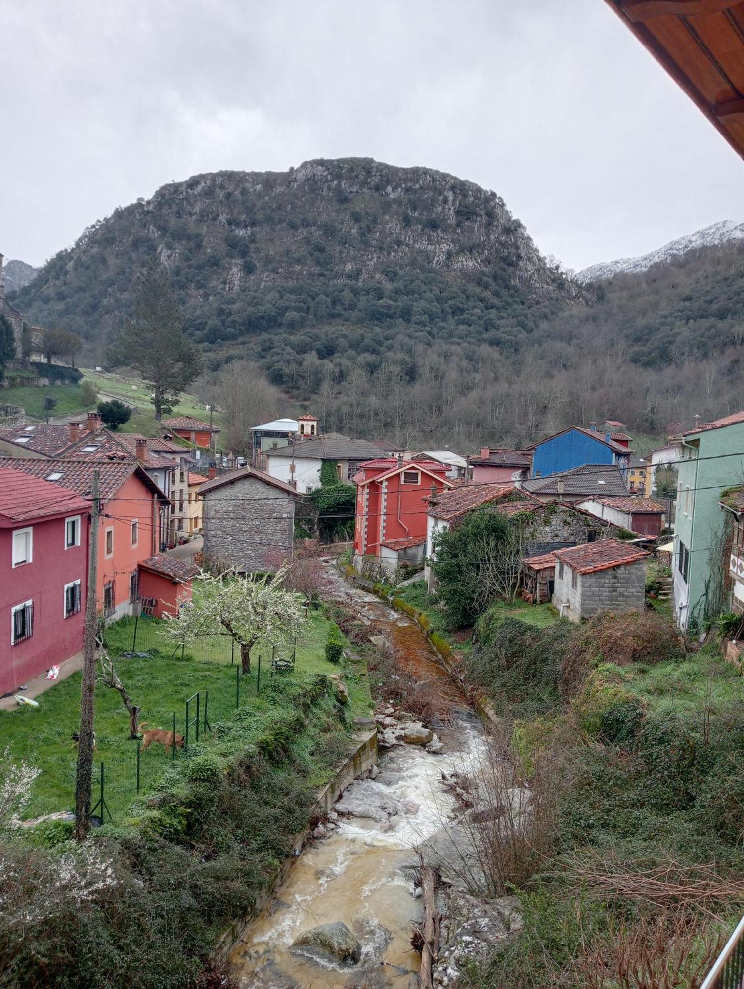 Cabrales Sol Leilighet Carrena de Cabrales Eksteriør bilde